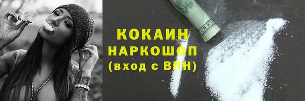 гашик Алексин