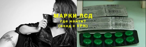 гашик Алексин