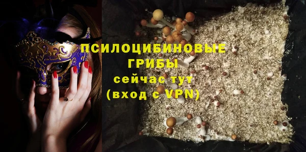 гашик Алексин