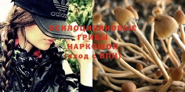 гашик Алексин