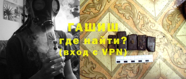 гашик Алексин