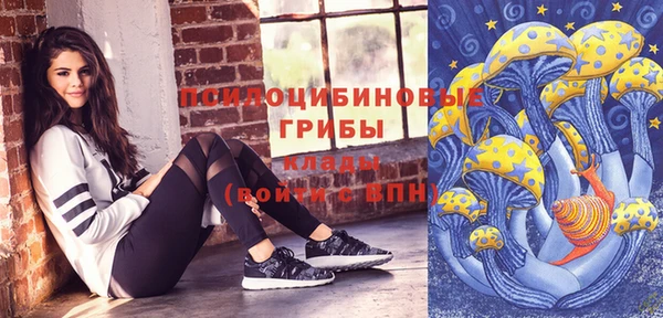 гашик Алексин
