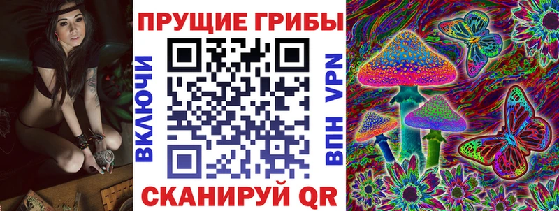Псилоцибиновые грибы GOLDEN TEACHER  дарнет шоп  Багратионовск 